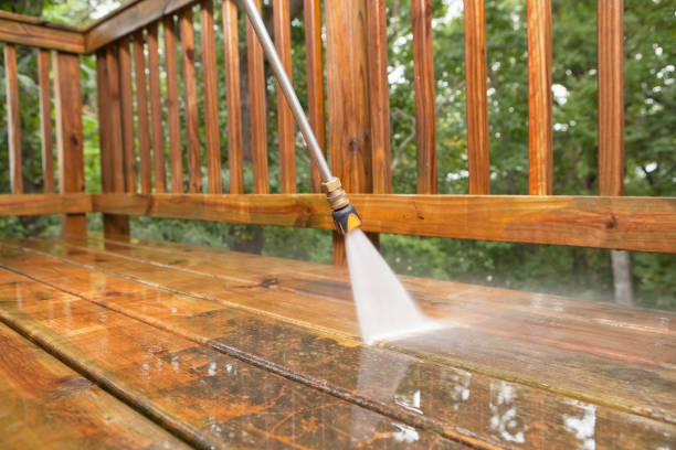 Best Gutter Cleaning  in Frontenac, KS